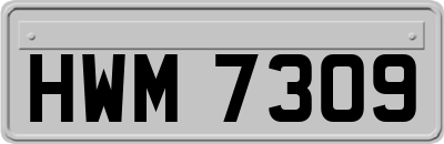 HWM7309