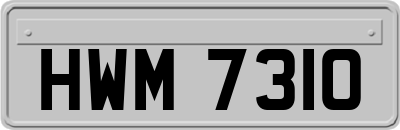 HWM7310