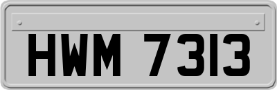 HWM7313
