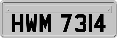HWM7314