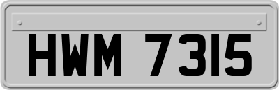 HWM7315