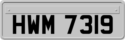 HWM7319
