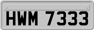 HWM7333