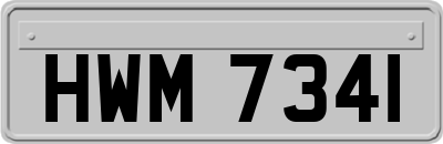 HWM7341