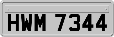 HWM7344