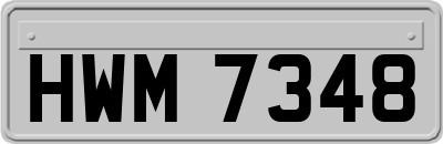 HWM7348