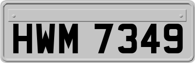 HWM7349