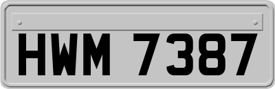 HWM7387