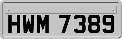 HWM7389