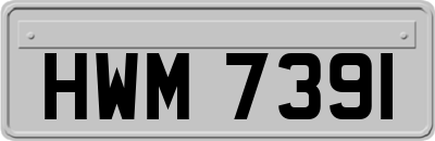HWM7391