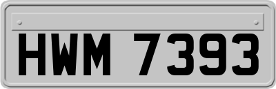 HWM7393