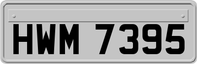 HWM7395