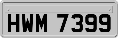 HWM7399