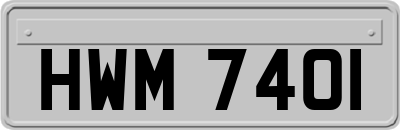 HWM7401