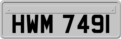 HWM7491
