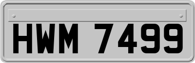 HWM7499