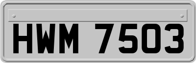 HWM7503