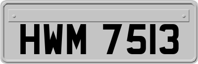 HWM7513