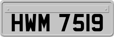 HWM7519