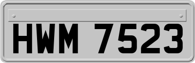HWM7523