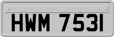 HWM7531
