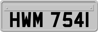 HWM7541