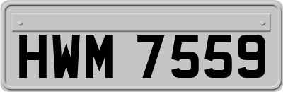 HWM7559