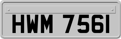 HWM7561