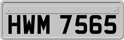 HWM7565