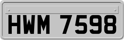 HWM7598