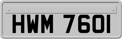 HWM7601