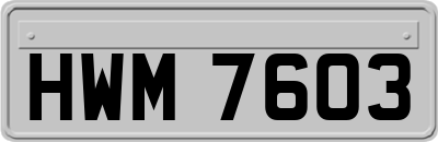 HWM7603