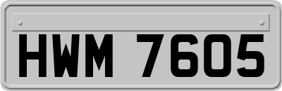 HWM7605