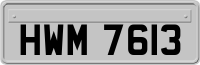 HWM7613