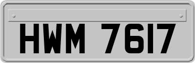 HWM7617