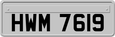 HWM7619