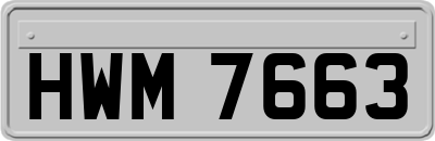 HWM7663