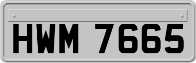 HWM7665