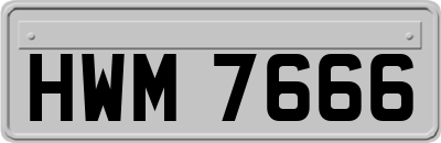 HWM7666