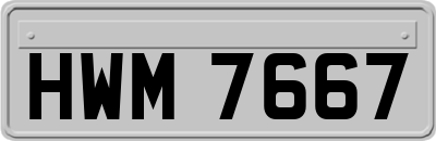 HWM7667