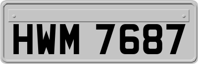 HWM7687