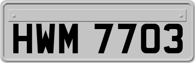 HWM7703