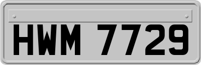 HWM7729