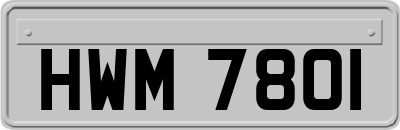HWM7801