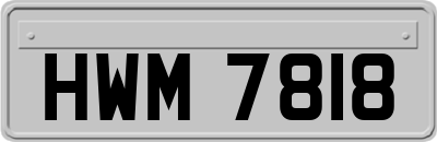 HWM7818