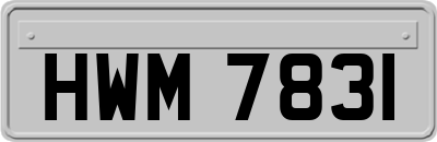 HWM7831