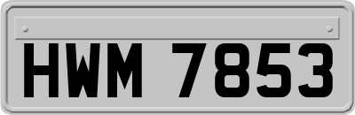 HWM7853