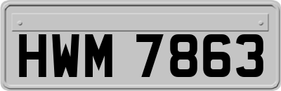 HWM7863