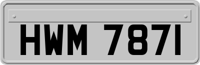 HWM7871