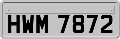HWM7872